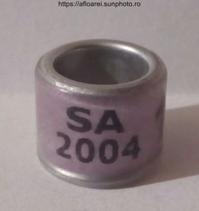 SA 2004