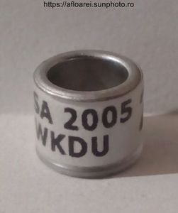 SA 2005 WKDU