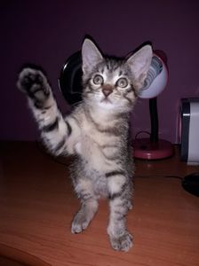 Va salut cu drag!