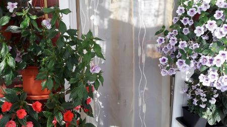 Intrarea in balcon e tot mai mica :)