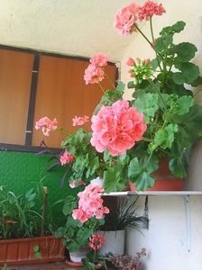 Photo8626