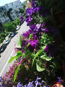 Photo8620