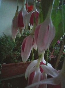 Photo8617