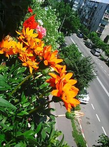Photo8621
