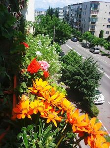 Photo8622