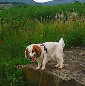 Nuovo_1_Photo8720
