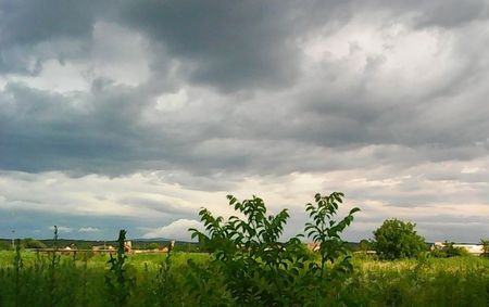 Nuovo_1_Photo8659