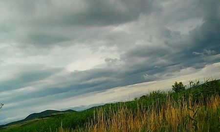 Nuovo_1_Photo8650