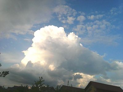 Nuovo_1_Photo8328