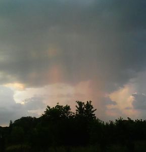 Nuovo_1_Photo8166