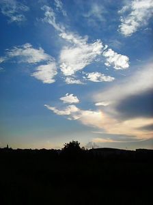 Nuovo_1_Photo8226