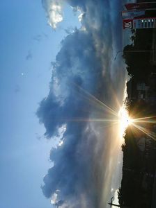 Photo8081