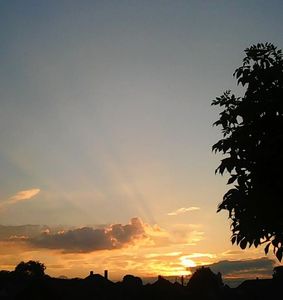 Nuovo_1_Photo7831