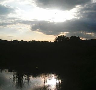 Nuovo_1_Photo7889