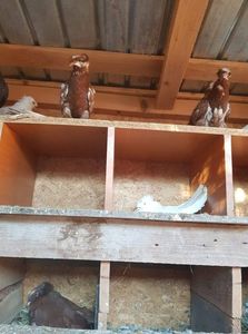 received_110407496544376