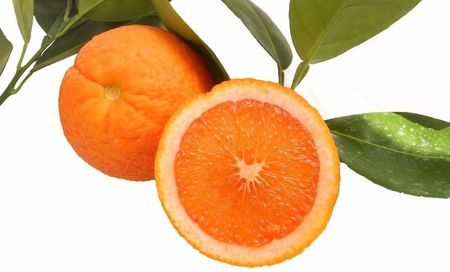 Citrus sinensis vanilie; Fructe de portocal cu aromă de vanilie
