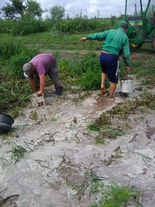 Photo0678