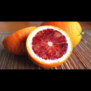 Citrus sinensis sanguinello; Fructe mature
