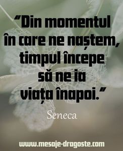 ; "Din momentul i care ne nastem,timpul incepe sa ne ia viata inapoi."

