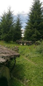 IMG-20180711-WA0007