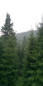 IMG-20180712-WA0001