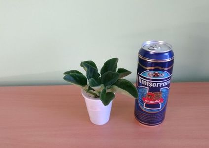 Doza de bere este pentru comparatie ca dimensiune.