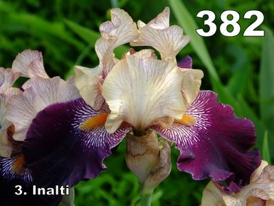 382A