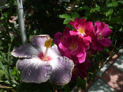 P1380786