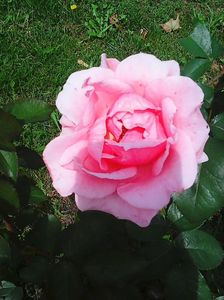 Photo8824