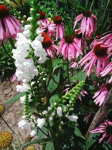 Photo8834