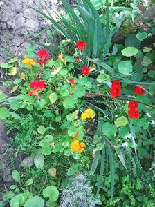 Photo8831