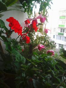 Photo8859