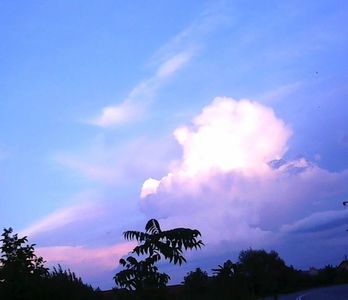 Nuovo_1_Photo8855