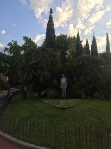 IMG-20180721-WA0019