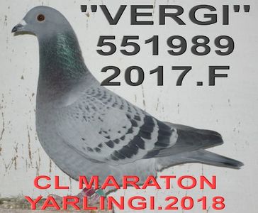 2017.551989 F VIRGIL+ - Copy