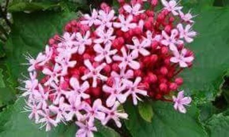 received_656561214704566