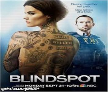 Blindspot ➥ Terminat