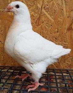 received_2202250090061721