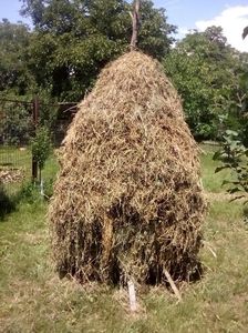 rezerva de lucerna pt iarna; Productie-ferma
