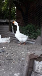 IMG-20180615-WA0024