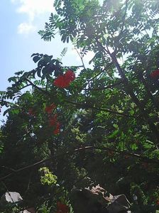 Photo8925