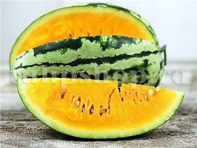 Seminte pepene Orangeglo 50buc.; Pret: 4 lei/plic.
Pachetul contine 50 de seminte sigilate intr-un pachet cu atmosfera protectoare, ferite de umiditate si lumina solara.
