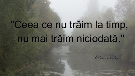 citate-octavian-paler-despre-viata-1