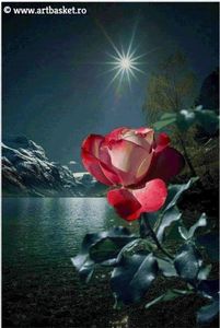 30x44,8 cm-70 anchor