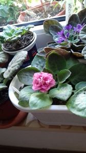 11 august 2018