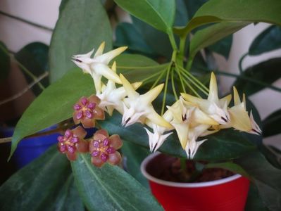 P1390559