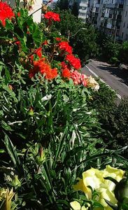 Nuovo_1_Photo9156