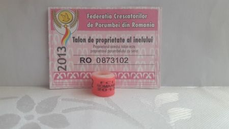 ROMÂNIA 2013 FCI