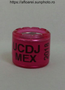 UCDJ MEX 2018