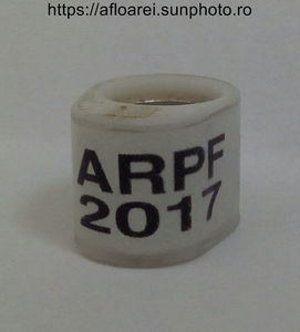 ARPF 2017